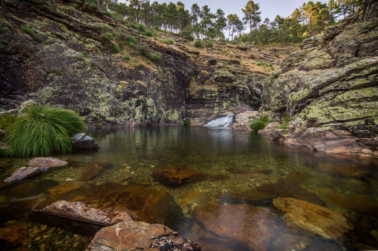 Casa Da Avo Ana Alvao Villa Bilho Bagian luar foto
